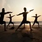 Yogic Studies