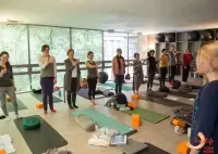 A group of people practicing a standing yoga pose with hands pressed together.